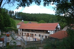 wollstein